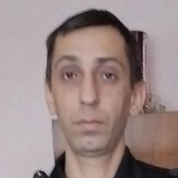 ������, ������ ��������, 41 ���