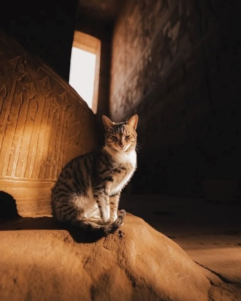 :) �����������: ���� � "������� ������" ����� ������� � ������.��� ������������� ������� ...