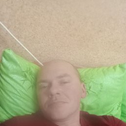 , 41, 