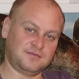 �������, ������ ��������, 37 ���