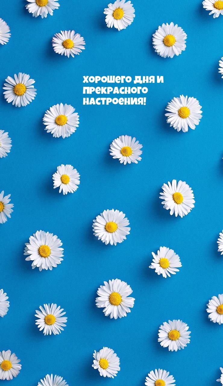 ***Victoria Viktorovna*** - 1  2024  09:34