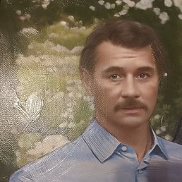 , 53, 