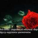 ���� ������, ��������, 71 ��� - ��������� 11 ��� 2026 � ������ �����