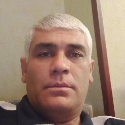 ����, �������, 41 ���