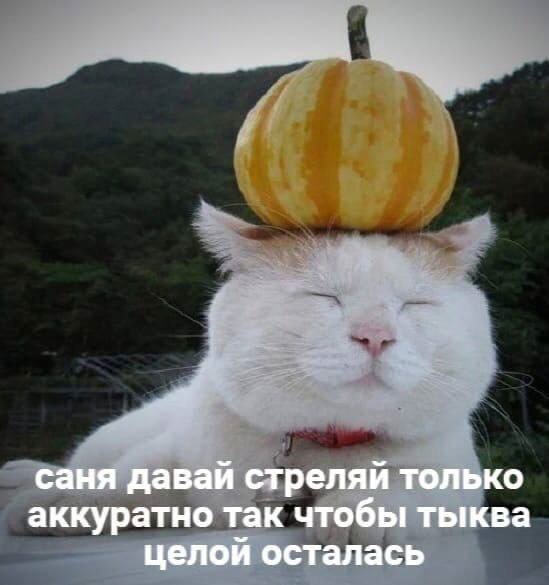    - 24  2023  14:37