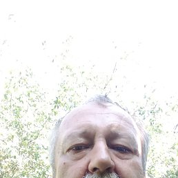 , 58, 