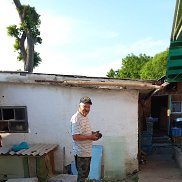, 71 , 
