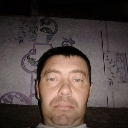 , 40, 