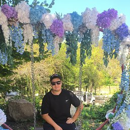 �����, 26 ���, ������-��-����