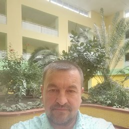 , 53, , - 