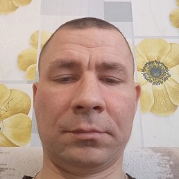 ��������, ���������, 39 ���