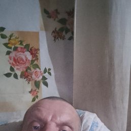 �������, 43 ����, �������