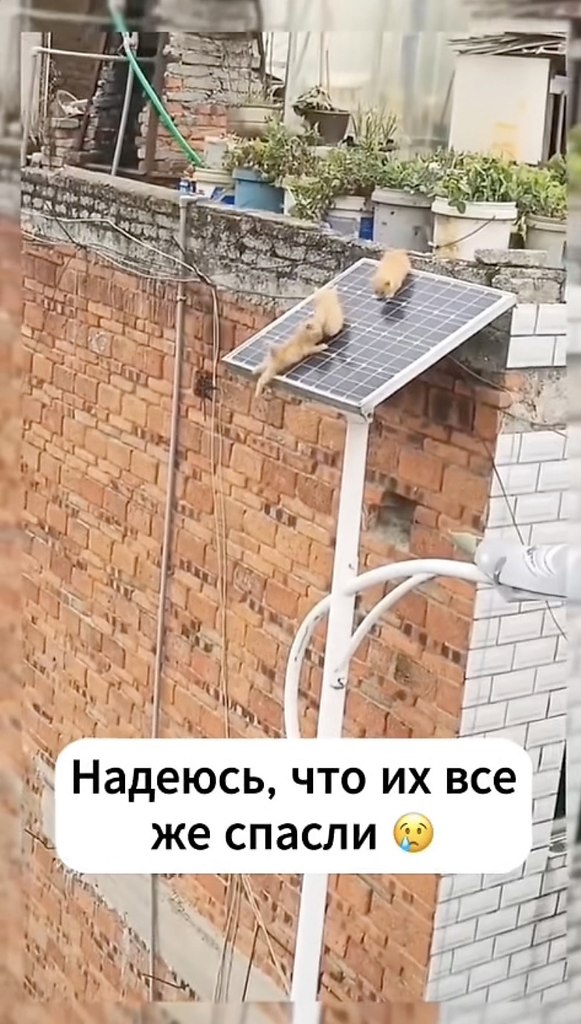    . - 2