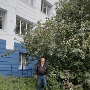 , 56 , 