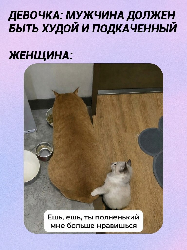 � ���� ����� �� ������