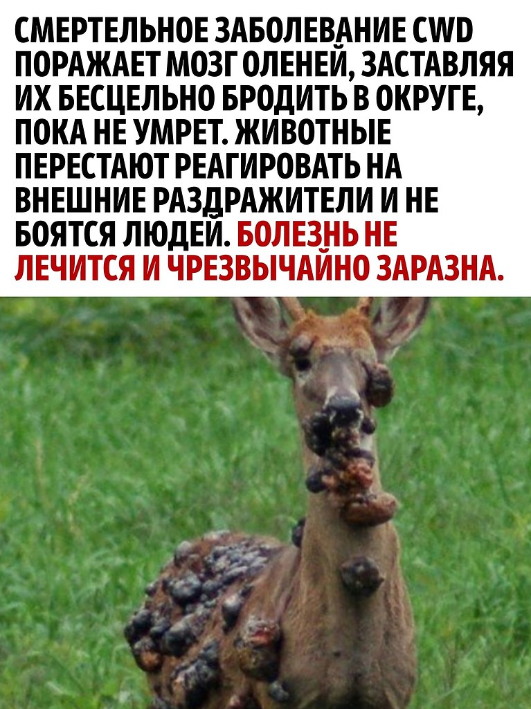     - 2