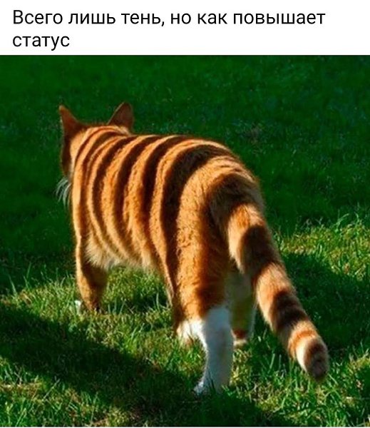 :)