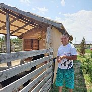 ���������, 36 ���, ����������