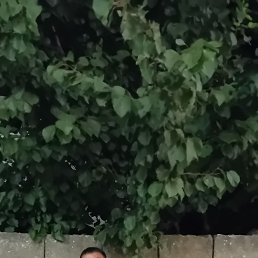 Rr, 34, 