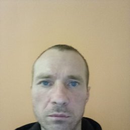 , 44, 