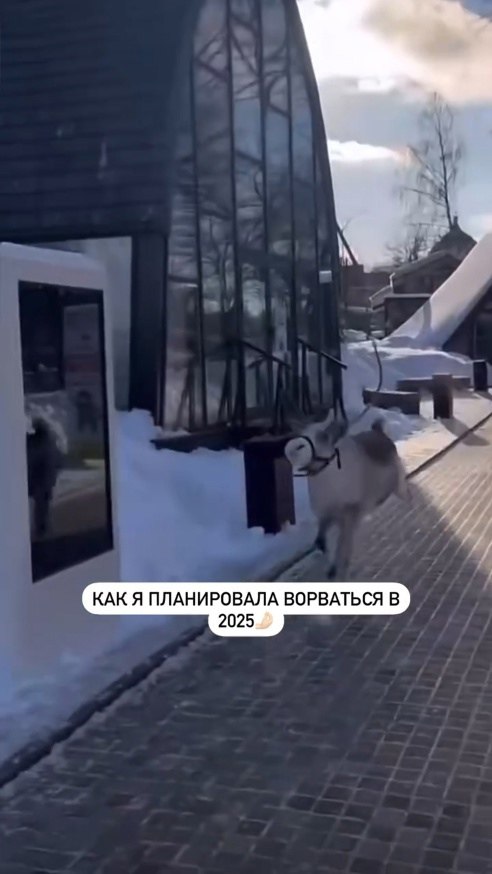    2025:  -