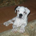 ���� ������, ���������, 47 ��� - ��������� 30 ������ 2024 � ������ ���� ����������