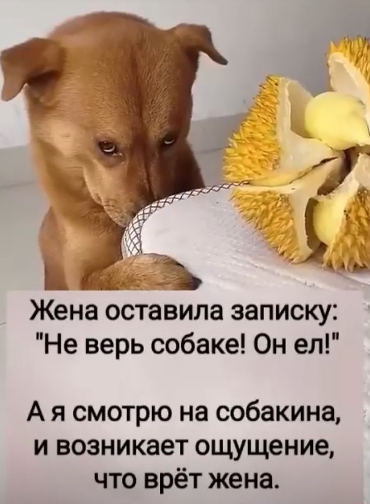 - 28  2025  08:11
