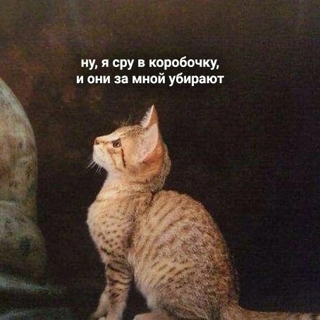   - 2