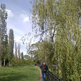 ����������, ������, 46 ���