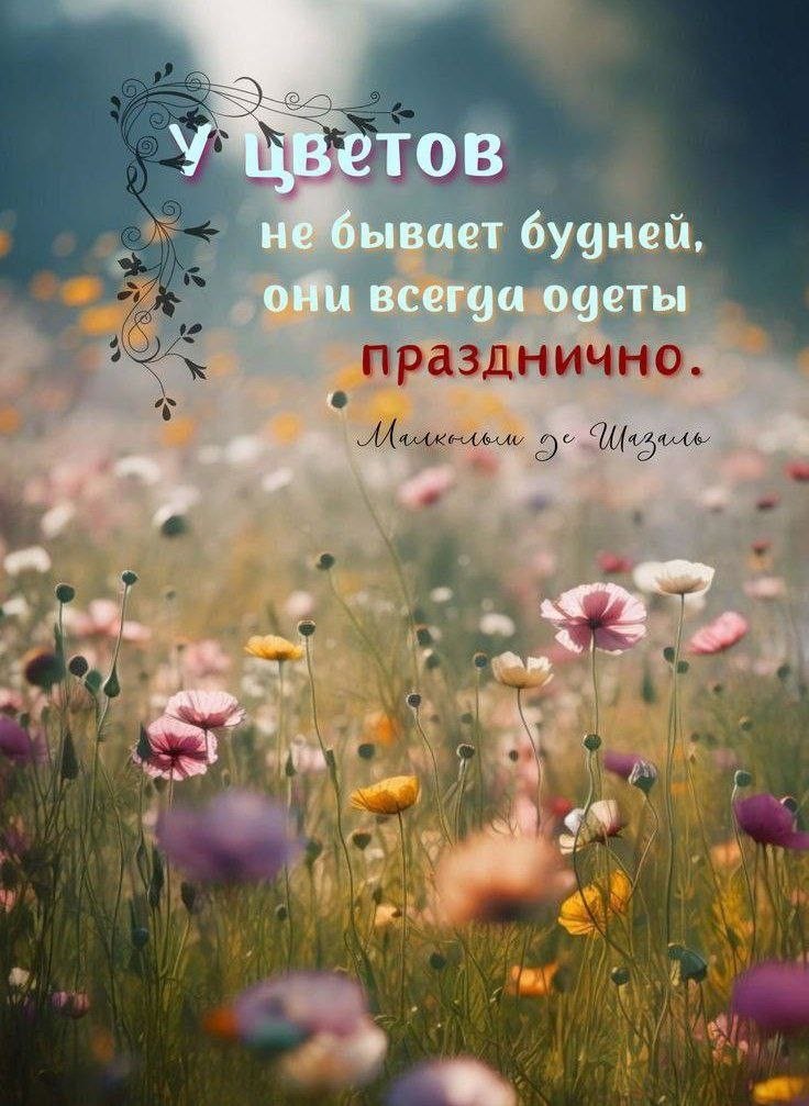   ! - 16  2025  16:31
