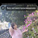 ���� ������, ������, 55 ��� - ��������� 17 ������ 2026 � ������ ���� ����������