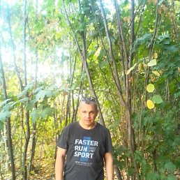 �������, 49 ���, �������