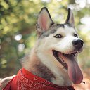 ���� ������, ���������, 51 ��� - ��������� 27 ������� 2026