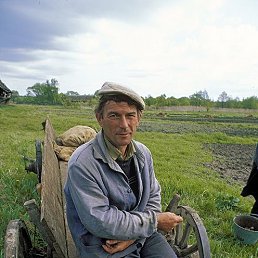 ������, 41 ���, �������