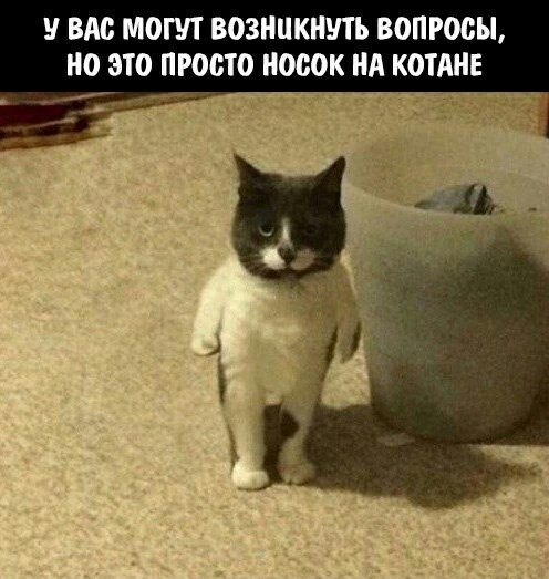    - 8  2023  02:23