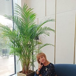 �����, ������