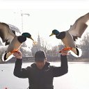 ���� ������, ������ - ��������� 14 ������ 2026