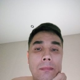  , 44 , 