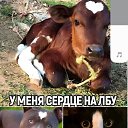 ���� ������, �����, 48 ��� - ��������� 30 ����� 2024 � ������ ���� ����������