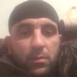 ��������, �������, 37 ���