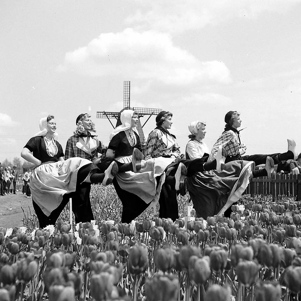       1950 .