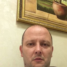 , 46 , 