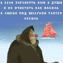 ���� ��������, ����������� - ��������� 12 ������ 2026 � ������ ������ ��������