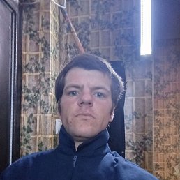 , 29, 