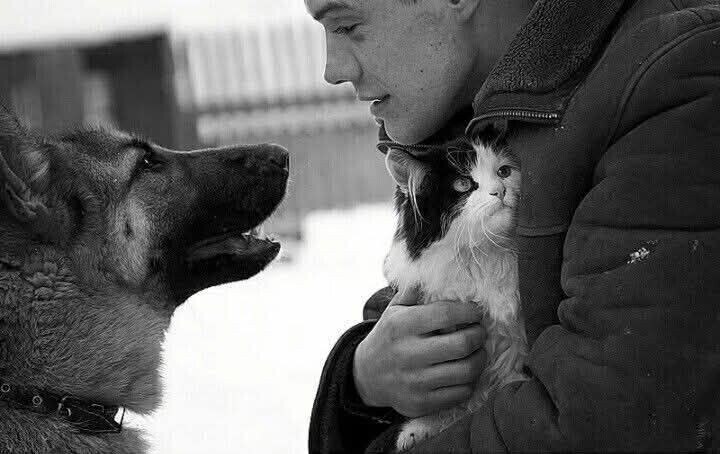 Чужое сердце.Мужчина был болен. Очень болен. Острая сердечная недостаточность. Его сердце умирало. ...