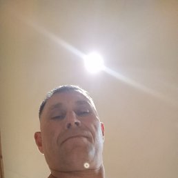 , 53,  