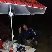 , 53 , 