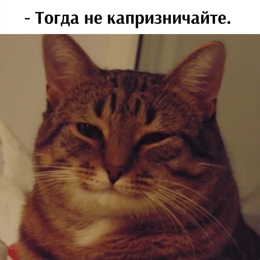       - 16  2025  16:02 - 3