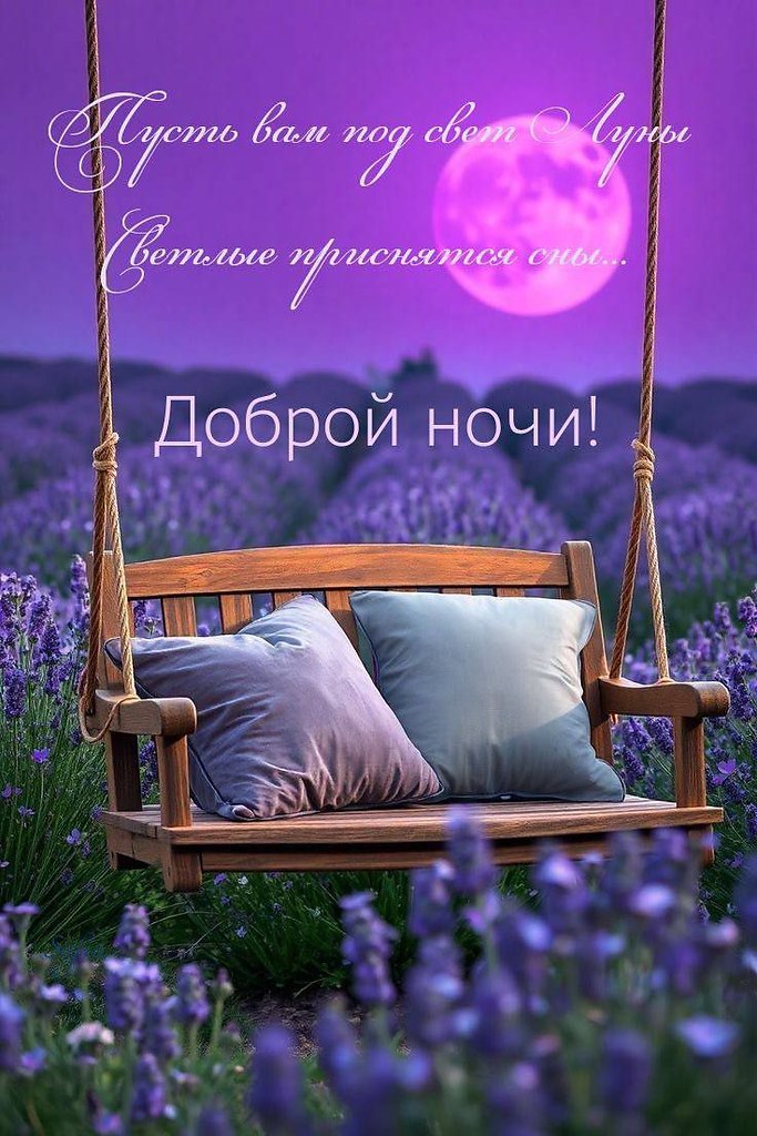   ,    . - 22  2025  22:38 - 3