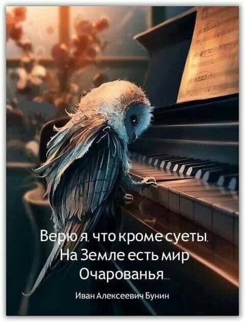 ~~~~~~~~~~